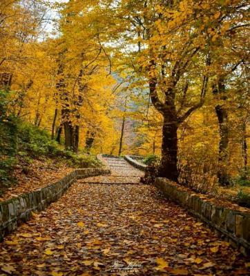 زیبایی مسحور کننده پاییز در طبیعت گلستان +عکس 3 زیبایی مسحور کننده پاییز در طبیعت گلستان +عکس