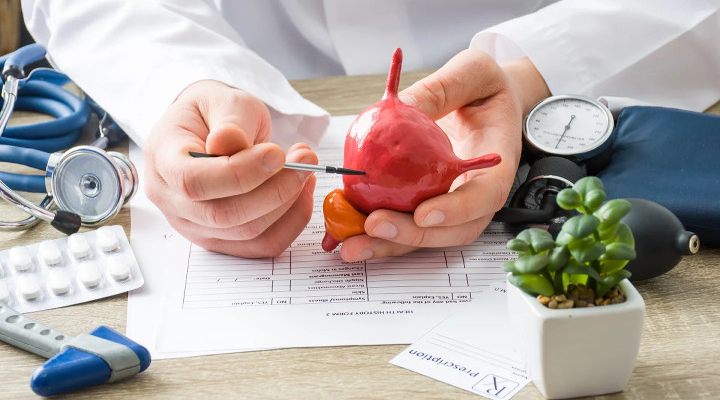 سیستوسکوپی؛ روشی برای تشخیص و درمان مشکلات مثانه 14 پزشک در حال توضیح روند سیستوسکوپی روی مدلی از مثانه