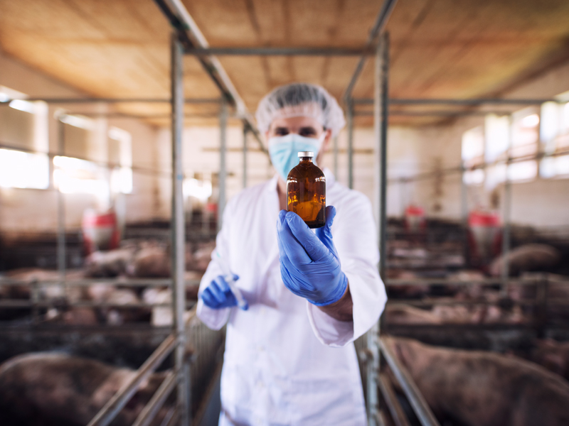 آگهی/ سالم ترین روغن خوراکی در ایران را بشناسید 4 1700547073 568 آگهی سالم ترین روغن خوراکی در ایران را بشناسید