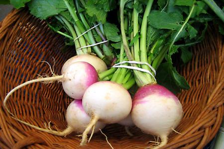 یک «شلغم» و چندین درمان + اینفوگرافی | اختصاصی 4 یک «شلغم» و چندین درمان + اینفوگرافی | اختصاصی