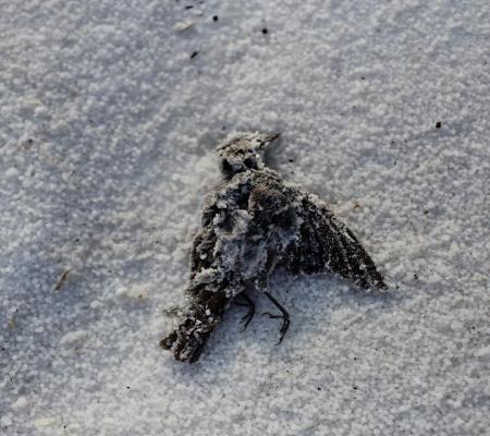 تصویری سوزناک که قلب هر ایرانی را به درد می‌آورد+عکس