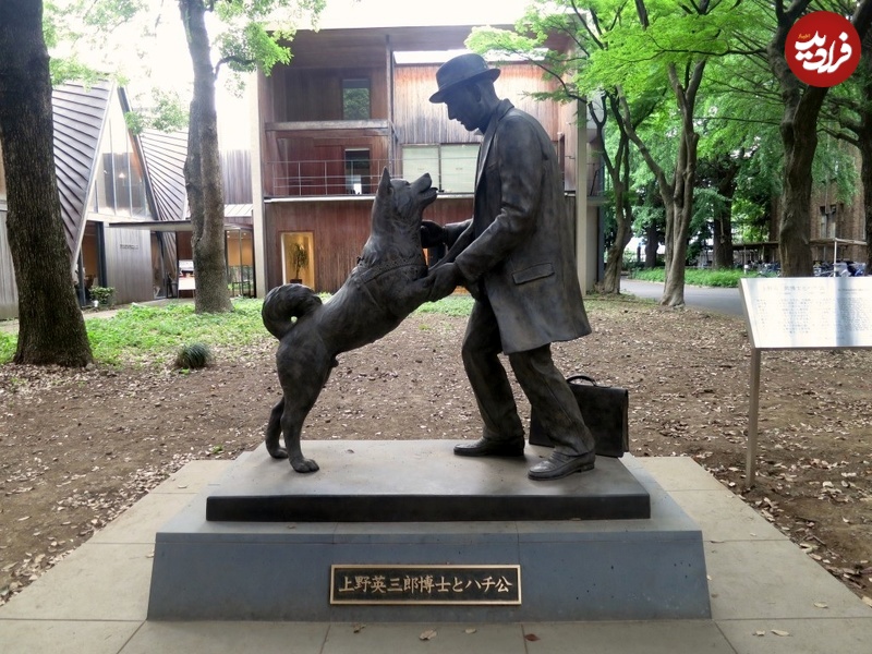 سگی که ۱۰ سال به ایستگاه قطار رفت تا صاحبش را ببیند+عکس 7 1707357462 855 سگی که ۱۰ سال به ایستگاه قطار رفت تا صاحبش