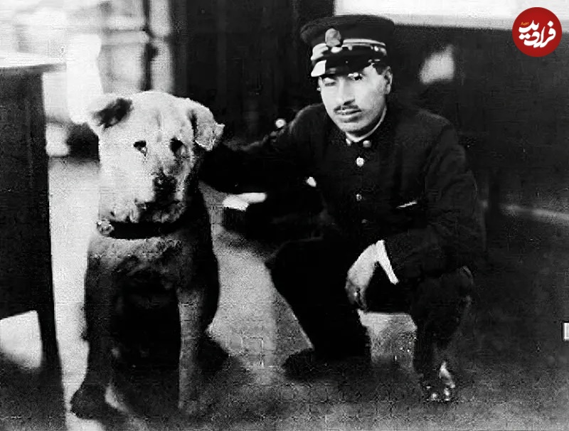 سگی که ۱۰ سال به ایستگاه قطار رفت تا صاحبش را ببیند+عکس 6 1707357462 973 سگی که ۱۰ سال به ایستگاه قطار رفت تا صاحبش