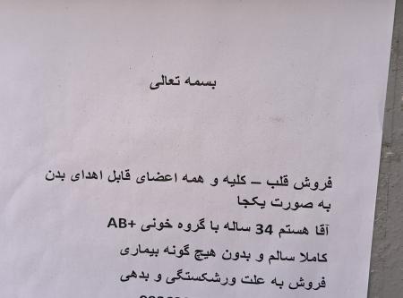 نوشته جانسوز یک جوان ورشکسته روی دیوارهای شهر+عکس