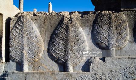 نقش‌ برجستۀ زیبای سرو ایرانی در تخت جمشید +عکس