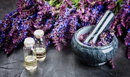 گیاهی که برای دورکردن افکار منفی و افزایش حافظه عالی عمل میکند 2 گیاهی که برای دورکردن افکار منفی و افزایش حافظه عالی عمل میکند