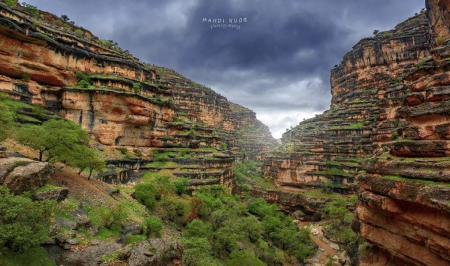 تنگه شیرز دره‌ای رویایی و سرسبز در استان لرستان+عکس