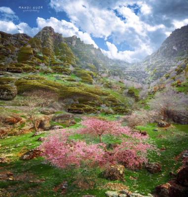 نغمه بهاری طبیعت در استان لرستان+عکس
