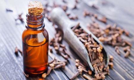 میخک را اینگونه مصرف کنید متابولیسم بدن افزایش و وزن‌تان کم می شود