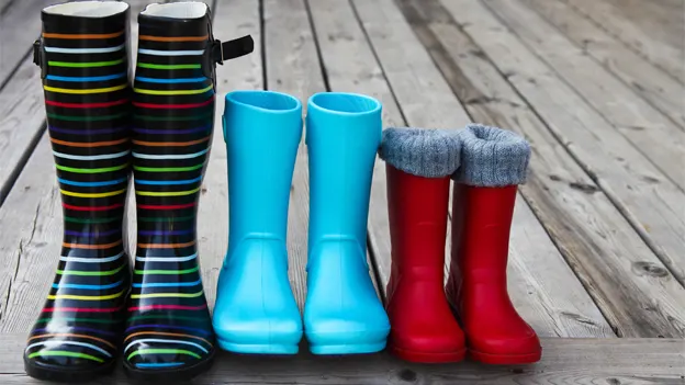 ۶ سبک رهبری دانیل گلمن + بهترین سبک رهبری برای من کدام است؟_سودو تکنولوژی 6 ۶ سبک رهبری دانیل گلمن بهترین سبک رهبری برای.webp