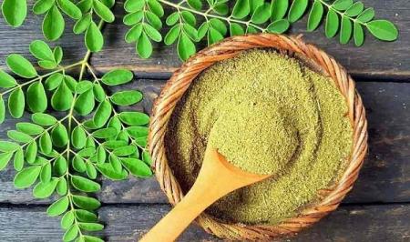 با خواص دارویی گیاه مورینگا آشنا شوید_سودو تکنولوژی 7 با خواص دارویی گیاه مورینگا آشنا شوید