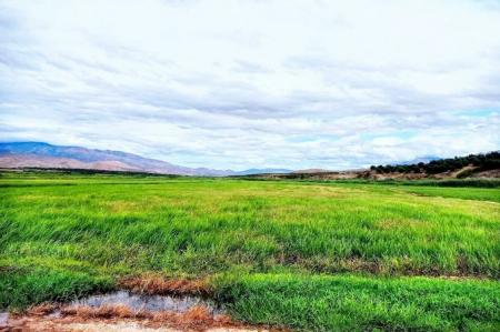 شالیزارهای زیبای برنج در شهرستان طارم در کنار رود قزل اوزن_سودو تکنولوژی 6 شالیزارهای زیبای برنج در شهرستان طارم در کنار رود قزل اوزن