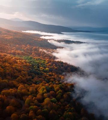 تلاقی دریای ابر و جنگل‌های هیرکانی هزار رنگ مازندران + عکس