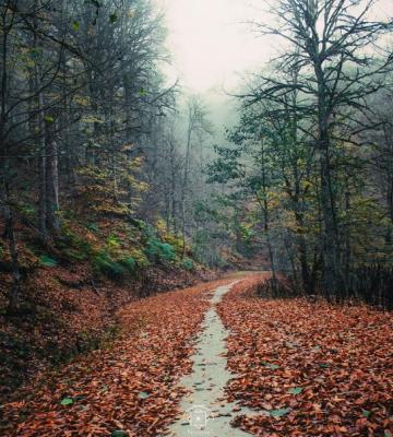 اینجا کلاردشت مازندران است در فصل پاییز_سودو تکنولوژی 13 اینجا کلاردشت مازندران است در فصل پاییز