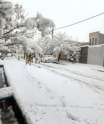 بارش سنگین برف صبح امروز در کهک قم_سودو تکنولوژی 7 بارش سنگین برف صبح امروز در کهک قم