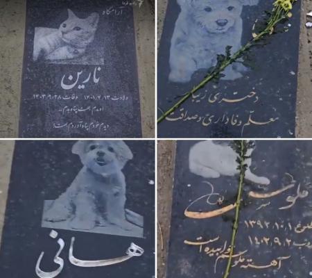 تصاویری شگفت از قبرستان حیوانات خانگی در تهران_سودو تکنولوژی 3 تصاویری عجیب از قبرستان حیوانات خانگی در تهران