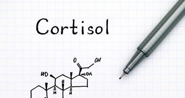 همه چیز درباره‌ی سطح کورتیزول پایین و تأثیرش بر سلامت + ۵ راه حفظ تعادل کورتیزول