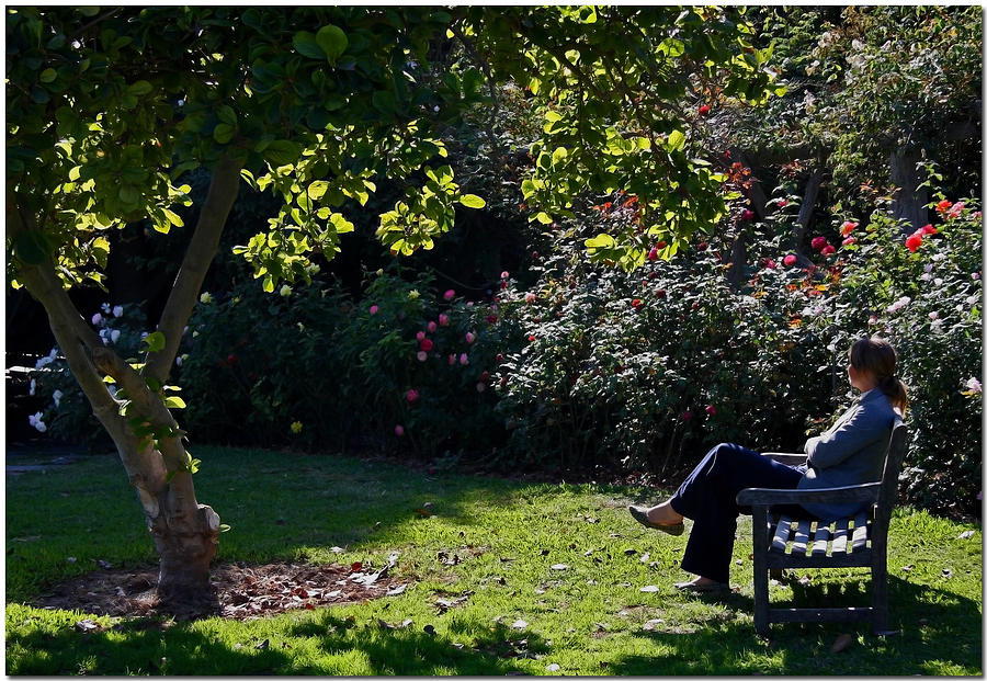 چطور تنهایی بهتری داشته باشیم؟ + ۸ راه برای لذت بردن از انجام کارها به تنهایی_سودو تکنولوژی 8 چطور تنهایی بهتری داشته باشیم؟ + ۸ راه برای لذت بردن از انجام کارها به تنهایی