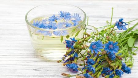 گیاهی که کبد چرب را درمان، قند و فشار خون را تنظیم، کبد و کلیه را سم زدایی می کند