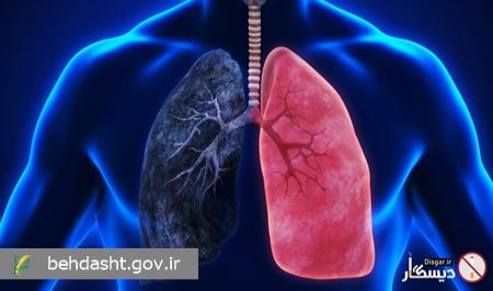 یک پُک قلیان برابر با ۲۰۰ نخ سیگار بوده و آسیب بیشتری دارد