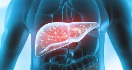 ۸ ماده غذایی که دوست کبد شما هستند_سودو تکنولوژی 12 ۸ ماده غذایی که دوست کبد شما هستند