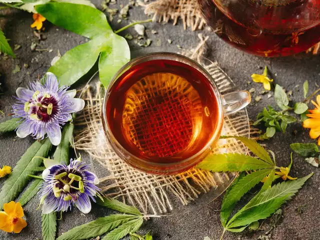 1741993562 52 دمنوش های سودمند ۱۲ دمنوش گیاهی سودمند که باید امتحان.webp