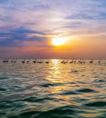 تالاب هورالعظیم؛ نگین زیبای خوزستان