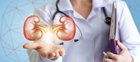 دشمن های خطرناک کلیه‌ها را بشناسید و از آنها دوری کنید
