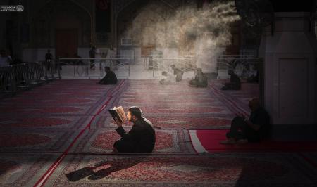 راز و نیاز و نیایش در حرم امام علی (ع)_سودو تکنولوژی 16 راز و نیاز و نیایش در حرم امام علی (ع)