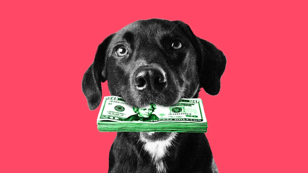 چرا این‌قدر پول برای حیوانات خانگی خود هزینه می‌کنیم؟