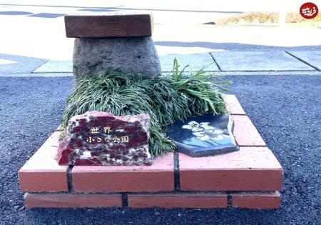 کوچک‌ترین «پارک» جهان در ژاپن+عکس