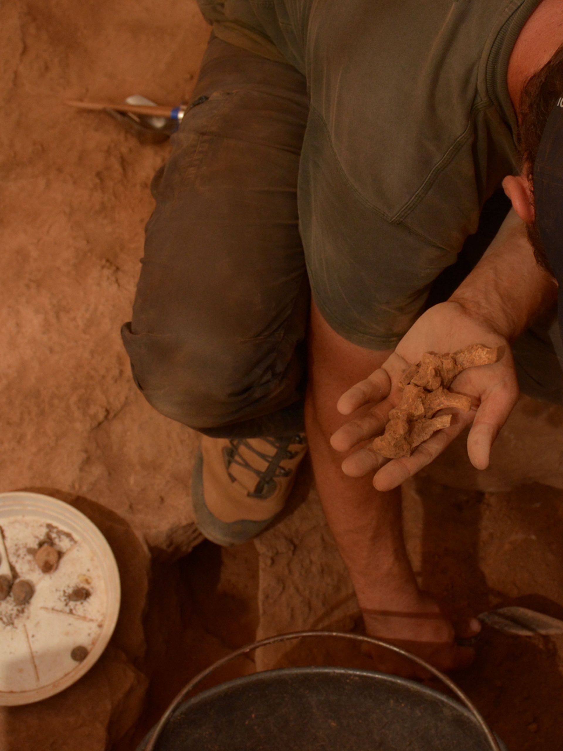 بازمانده‌های یافت‌شده در محل کاوش‌های باستان‌شناسی در غار لَتنیا