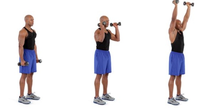 حرکات بدنسازی با دمبل؛ ۲۷ تمرین و انواع حرکات با دمبل_سودو تکنولوژی 65 1752153007 406 حرکات بدنسازی با دمبل؛ ۲۷ تمرین و انواع حرکات با