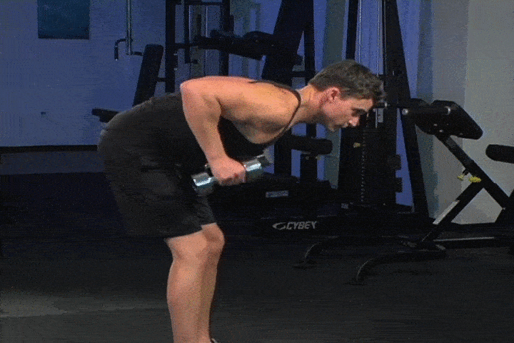 حرکات بدنسازی با دمبل؛ ۲۷ تمرین و انواع حرکات با دمبل_سودو تکنولوژی 72 ورزش با دمبل - کیک بک عضله سه سر بازویی