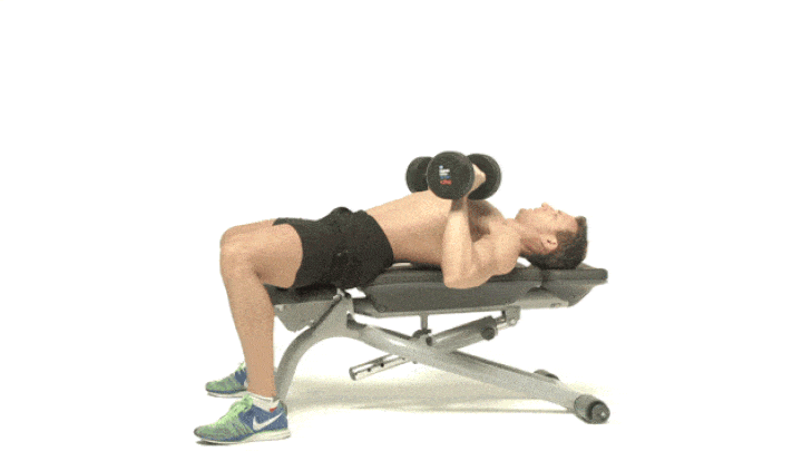 حرکات بدنسازی با دمبل؛ ۲۷ تمرین و انواع حرکات با دمبل_سودو تکنولوژی 63 ورزش با دمبل - پرس نیمکت