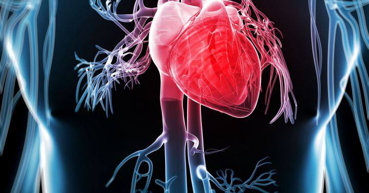 شیرین گفتن برای چی خوبه: ۲۷تا از خواص شیرین بیان_سودو تکنولوژی 24 خواص شیرین بیان - کمک به افزایش سلامت قلب و عروق
