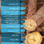شیرین گفتن برای چی خوبه: ۲۷تا از خواص شیرین بیان_سودو تکنولوژی